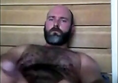 Osito se pajea solo en casa