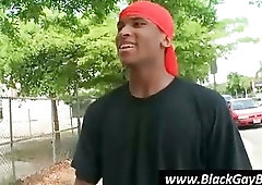 Two white boys hunt for a thug