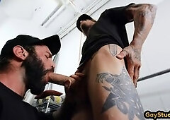 Inked hairy bear gets pounded in the ass missionary style