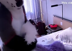 Furry Sex Murrsuit Compilation Moan 4 85 Min