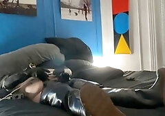 Hd videos, unshaved, large balls