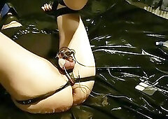 114 - 2 Masters and a puppy