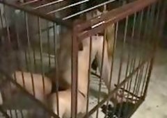 Mistresses dominated slave