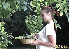 Hottie gets ass eaten and fucked