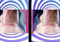 Bambi Hypno Tribute MLCZ