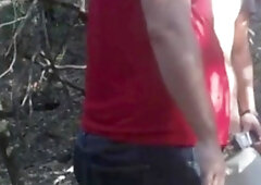 In a Neighboring Forest 1 7