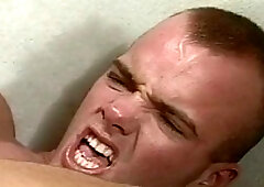 Falcon Studios: Underhanded Unleashed