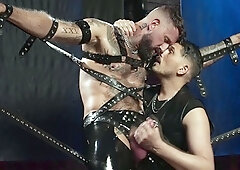 Bound Muscle Stud Edged and Milked