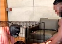Caged Cuckold Hotwife And Bbc