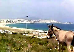 Agent 69 Jensen i Skyttens tegn (1978)