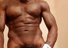 Humungous Black Rod Adore Hallelujah Johnson (Festivity)