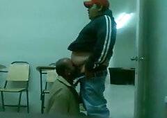 Fat Daddy Bear Sucks Chub