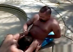 Bears swimming pool fuck