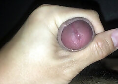 JIZM ALL OVER ASSETS - a YAM-SIZED MONEY-SHOTS