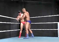 Decrotchery 08 - Topher Dimaggio VS. Michael Vineland