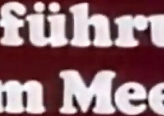 Verfuhrung Am Meer 1978