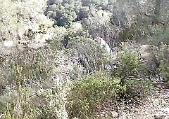 This Babe is caught on the beach watching porn and touching these charming boobs