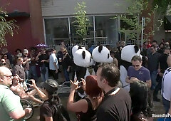 Bound in Public. Naked Pandas Trick or Treat Just in time for Halloween