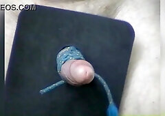 Sir Jay lashes CBTLouis's man meat Part2