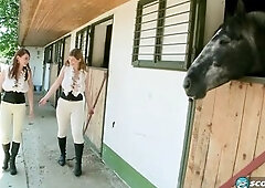 Christy Marks and Terry Nova made quite a partnership in the clip Breasty Riding Academy and this scene is the centerpiece of the film as they take on