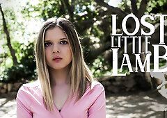 Lost Little Lamb