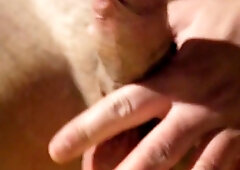 Tugging that stud milk out