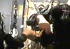 Latin tickle ache pup Pt two