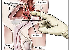 Sissy Geschlechtsumwandlung
