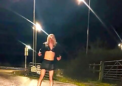 Blondie Sunny showing close to the road