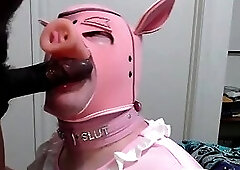 i am a stupid pig who worships BBC. I have a mouth full of cock and cum!!!