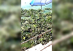 No pants underneath table on bar