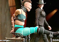 Black in split suspension caned