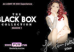 Tera Patrick - Hot Pornstar Solo Asmr Vr - Sexlikereal