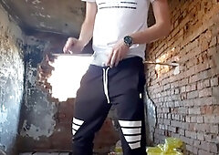 Indignity, sexual, public