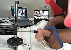 Mr. Hankey's Cyrus King