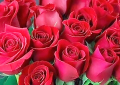 Horny mature with a massive booty gets down and dirty