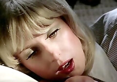 A bus trip takes its passengers to a place called SexWorld where they can live out their almost all secret wishes during a weekend.