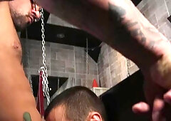 BROMO: Drained amongst inked muscle american young twink