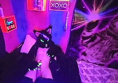 Alleycat Paws Off With New Toy