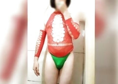 Minha fantasia natalina