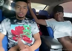 2 black men suck in car