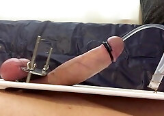 E-stim Ejaculation Spunk Bevy Urethra Tubing 024