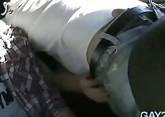 Boys tricked into sex