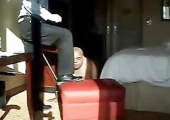 Another American Chub visits me in Toronto, Canada