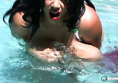 Bikini Bustin'