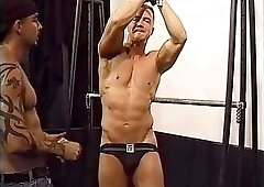 MASTERS OF DISCIPLINE+ (a better copy)