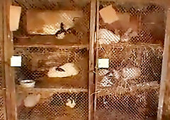 Hot Gay Guys Ass Banging