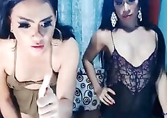 Shemale pounds her trans girl after receiving a sloppy blowjob