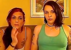 Alluring tranny bitches lick each other's nipples and hard dicks