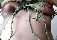 Lush, gay nipple lover, spankbang